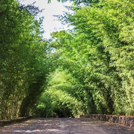 Pousada Bosque Do Lapao Lencois Exteriér fotografie