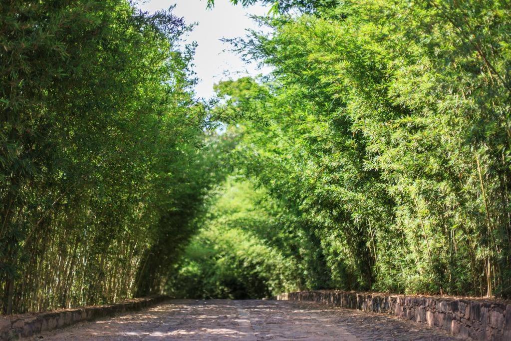 Pousada Bosque Do Lapao Lencois Exteriér fotografie